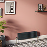 Keswick 300 x 1010mm Horizontal Radiator Anthracite 2 Column