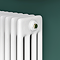 Keswick 450 x 605mm Horizontal Radiator White 4 Column