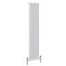Keswick 1800 x 380mm Cast Iron Style Traditional 2 Column White Radiator Feature Large Image