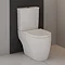 Kobe Gloss Black Cloakroom Floor Standing Unit with Close Coupled Toilet Profile Large Image