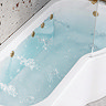 Laguna Whirlpool Spa 8 Jet P-Shaped Shower Bath with Screen + Panel - Brushed Brass Jets