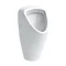 Laufen - Caprino Plus Siphonic Urinal with Concealed Water Inlet - 42061 Large Image