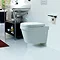 Laufen - Lb3 Classic Wall Hung Pan with Toilet Seat - LB3WC3 Profile Large Image