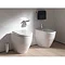 Laufen - Pro Back to Wall Pan with Antibacterial Seat - PROWC6 Profile Large Image