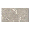 Lorenna Grey Stone Effect Wall & Floor Tiles - 300 x 600mm