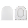 Loxley Back to Wall Pan with Soft Close Seat  Profile Large Image
