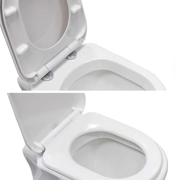 Premier Luxury D-Shape Soft Close Toilet Seat with Top Fix, Quick Release - NTS004 Feature Large Ima