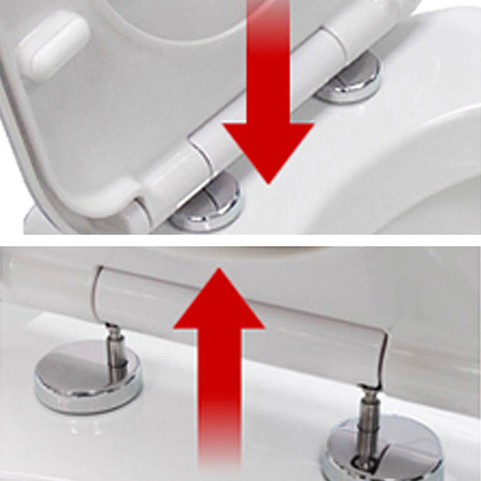 Premier Luxury D-Shape Soft Close Toilet Seat with Top Fix, Quick Release - NTS004  Standard Large Image