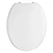 Luxury Soft Close Toilet Seat - NTS006 Large Image