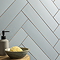 Lyndon Light Green Wall and Floor Tiles - 99 x 492mm