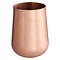 Madison Shine Copper Finish Tumbler Large Image