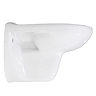 Melbourne Wall Hung Toilet + Soft Close Toilet Seat  Profile Large Image