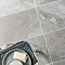 Alaric Light Grey Stone Effect Wall & Floor Tiles - 300 x 600mm