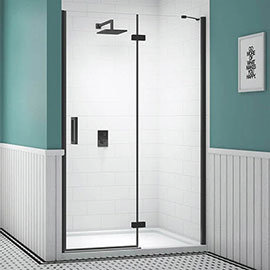 Merlyn Black Hinge & Inline Shower Door Medium Image