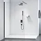 Merlyn Black Showerwall Wetroom Screen Large Image