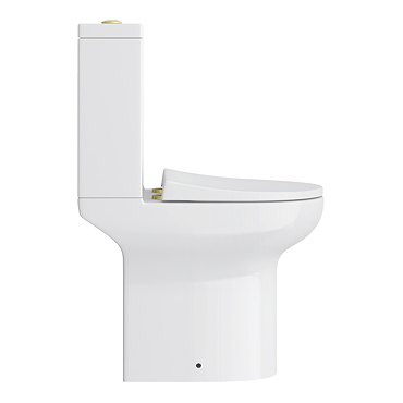 Metro Compact Toilet (Brushed Brass Flush + Hinges) 555mm Projection