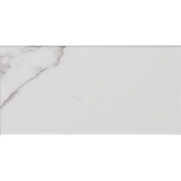 Metro Flat Wall Tiles - Carrara Marble - 20 x 10cm  Profile Large Image