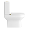 Metro Rimless Close Coupled Toilet with Soft Close Seat (Brushed Brass Flush + Hinges)