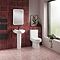 Metro Rimless Close Coupled Toilet with Soft Close Seat (Matt Black Flush + Hinges)