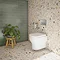 Metro Wall Hung Toilet