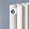 Metro Vertical Radiator with Mirror - White - Double Panel (H1800 x W500mm)