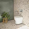 Metro Wall Hung Toilet with Slim Seat