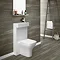 Milan Polymarble Combined Two-In-One Wash Basin + Toilet Large Image
