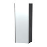 Miller - London Mirror Cabinet - Black Large Image