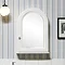 Miller - Traditional 1903 Arched Mirror Cabinet In Bathroom Large Image