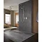 Mira - Adept BRD Thermostatic Shower Mixer - Chrome - 1.1736.406 additional Large Image