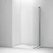 Mira Ascend Wetroom Divider Side Panel Large Image