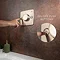 Mira Evoco Dual Outlet Brushed Nickel Thermostatic Mixer Shower with Bathfill - 1.1967.008 Newest L