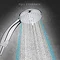 Mira Nectar Eco Four Spray Showerhead - 2.1831.004  In Bathroom Large Image