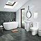 Mirage Modern Free Standing Bathroom Suite Large Image