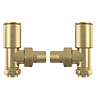 Arezzo Modern Angled Radiator Valves - Brushed Brass  Feature Large Image