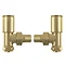 Arezzo Modern Angled Radiator Valves - Brushed Brass  Feature Large Image