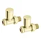 Arezzo Modern Straight Radiator Valves - Brushed Brass Large Image