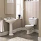 Monaco Traditional Close Coupled Toilet with Soft Close Seat Feature Large Image
