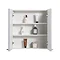 Montrose 600mm Dove Grey Mirrored Cabinet with Chrome Handles