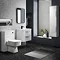 Monza Wall Hung 2 Drawer Vanity Unit with Basin W600 x D445mm  Standard Large Image