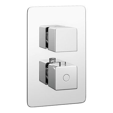 Monza Low Pressure Concealed Twin Shower Valve with Built-In Diverter  Profile Large Image