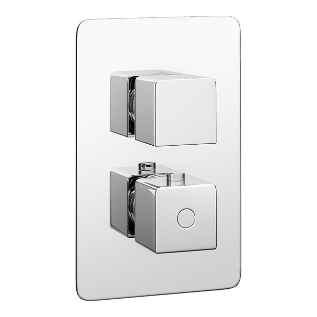 Monza Concealed Twin Shower Valve with Built-In Diverter  Large Image