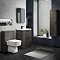 Monza Grey Avola 600mm Floor Standing Vanity Unit (Depth 450mm)  In Bathroom Large Image