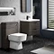 Monza Grey Avola Wall Hung Sink Vanity Unit + Square Toilet Package Large Image