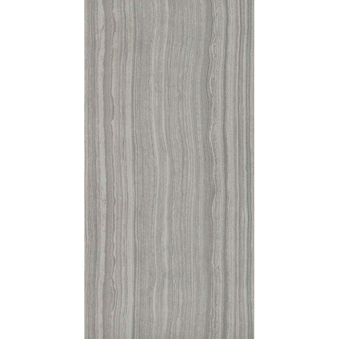 Monza Grey Wood Effect Tile - Wall and Floor - 600 x 300mm  Standard Large Image