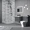 Monza Matt Grey 500mm Wide WC Unit (Depth 200mm)  Feature Large Image