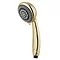 MX Synergy 6 Mode Rub Clean Showerhead Gold Effect - RDX Large Image