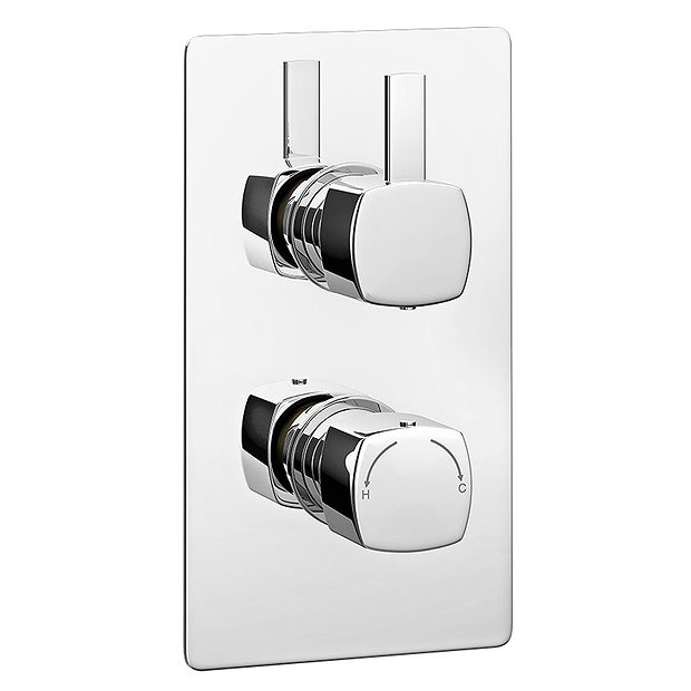 Neo Concealed Thermostatic Twin Shower Valve Victorian Plumbing