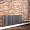 Milan 600 x 1364 Horizontal Anthracite Double Panel Radiator Large Image