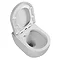 Nova Rimless Back To Wall Pan with Soft Close Seat  Profile Large Image